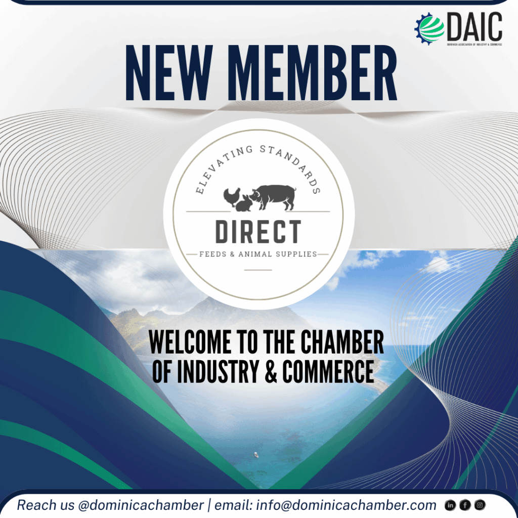 DAIC Primary Graphics (3)-min