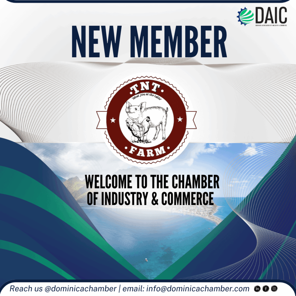 DAIC Primary Graphics (4)-min